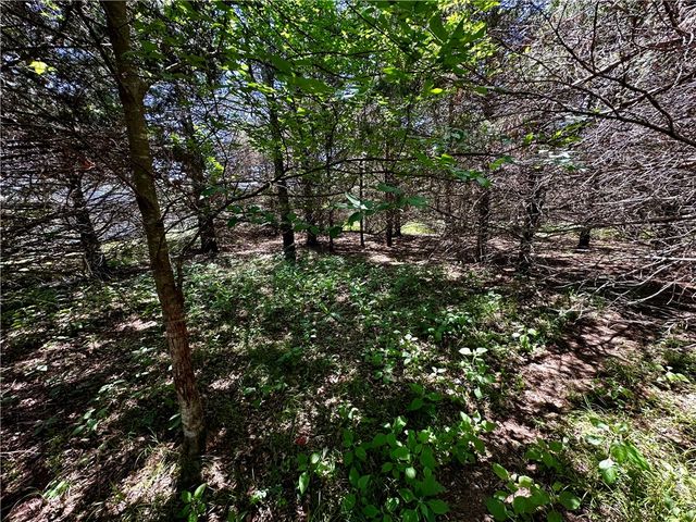5 Bandy Drive, Holiday Island, AR 72631