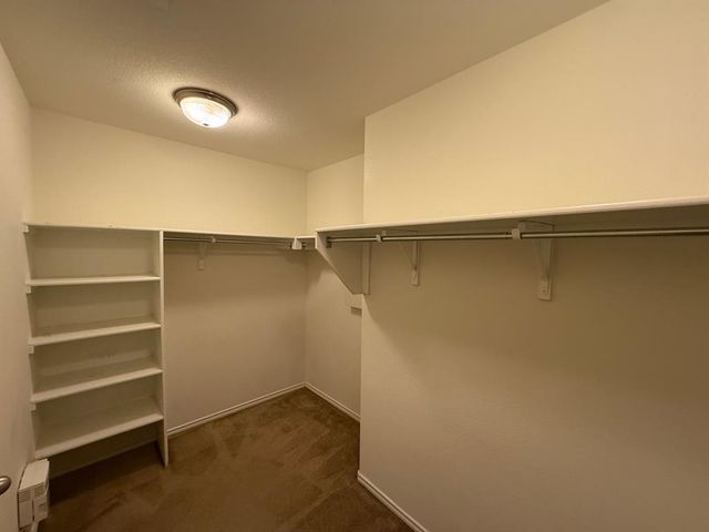 828 Oatmeal DR, Pflugerville, TX 78660