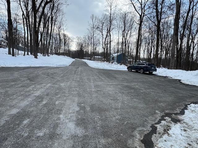 11 Alexandra Matthews Road B, Wallkill, NY 12589