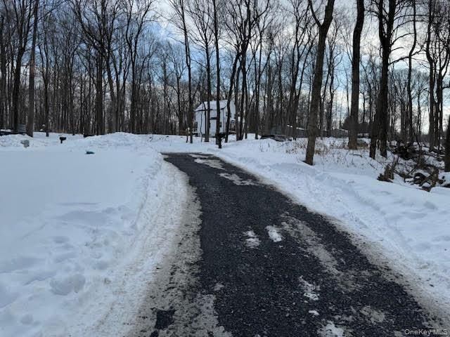 11 Alexandra Matthews Road B, Wallkill, NY 12589