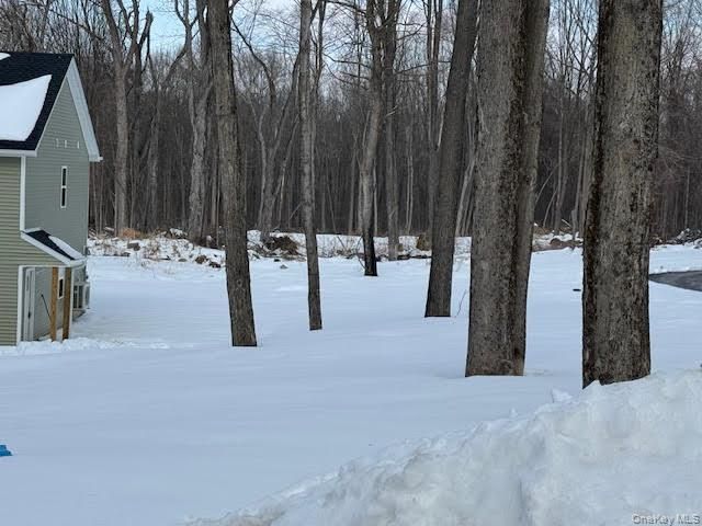 11 Alexandra Matthews Road B, Wallkill, NY 12589