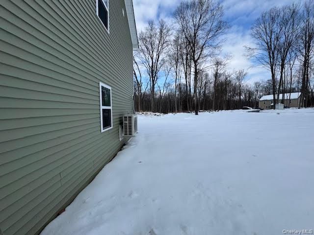 11 Alexandra Matthews Road B, Wallkill, NY 12589