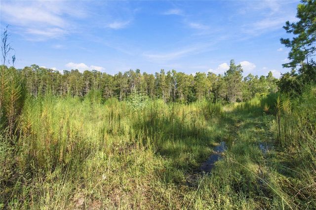 26633 PHEASANT RUN, Wesley Chapel, FL 33544