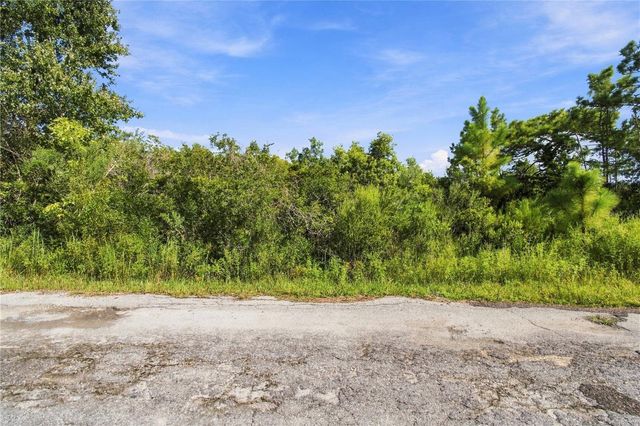 26633 PHEASANT RUN, Wesley Chapel, FL 33544