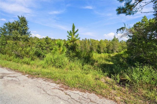26633 PHEASANT RUN, Wesley Chapel, FL 33544