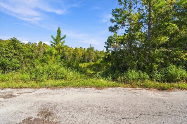 26633 PHEASANT RUN, Wesley Chapel, FL 33544