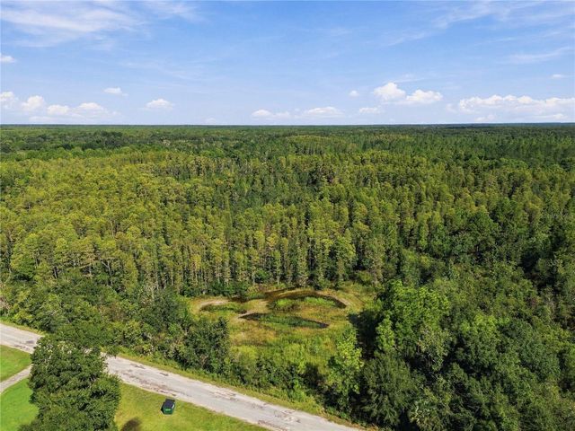 26633 PHEASANT RUN, Wesley Chapel, FL 33544