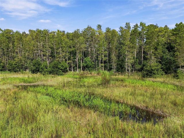 26633 PHEASANT RUN, Wesley Chapel, FL 33544