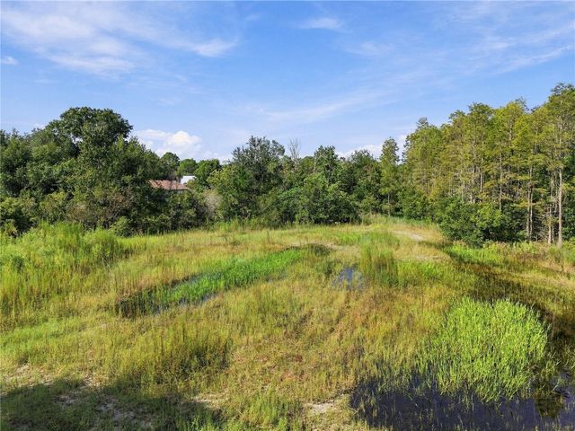 26633 PHEASANT RUN, Wesley Chapel, FL 33544