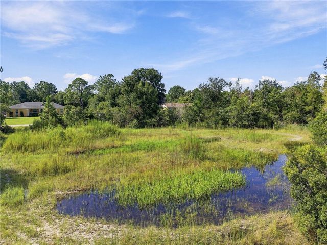26633 PHEASANT RUN, Wesley Chapel, FL 33544