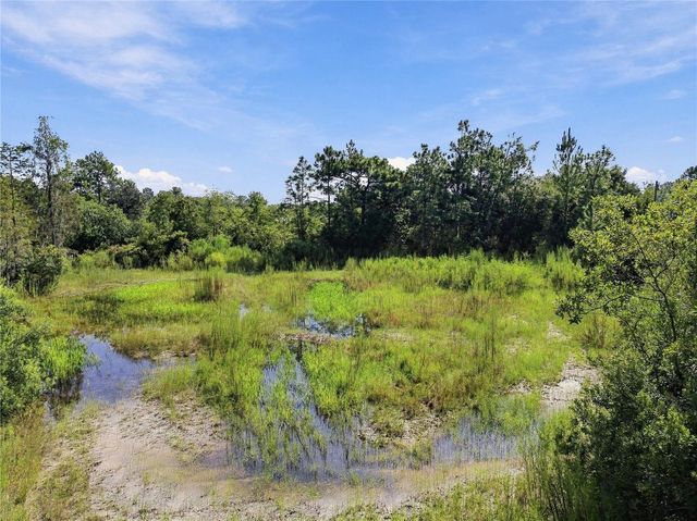 26633 PHEASANT RUN, Wesley Chapel, FL 33544
