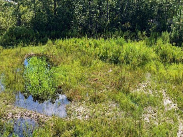 26633 PHEASANT RUN, Wesley Chapel, FL 33544