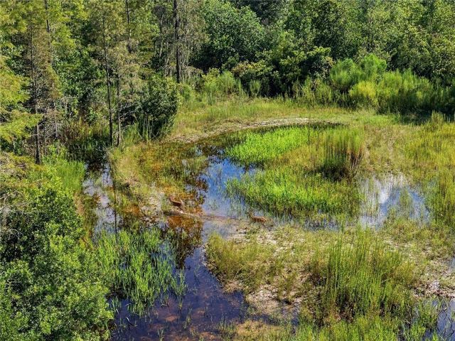 26633 PHEASANT RUN, Wesley Chapel, FL 33544