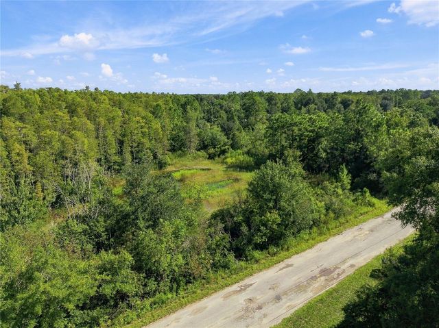 26633 PHEASANT RUN, Wesley Chapel, FL 33544