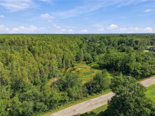 26633 PHEASANT RUN, Wesley Chapel, FL 33544