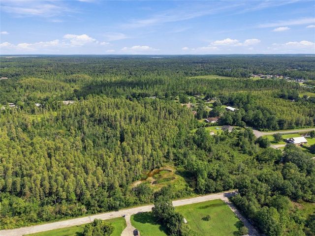 26633 PHEASANT RUN, Wesley Chapel, FL 33544