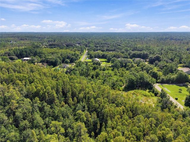 26633 PHEASANT RUN, Wesley Chapel, FL 33544