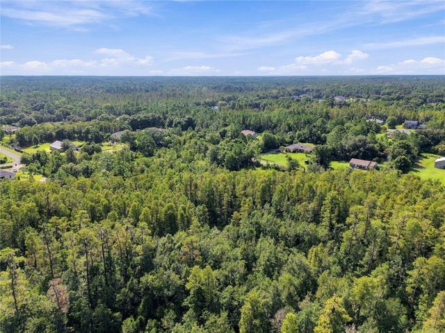 26633 PHEASANT RUN, Wesley Chapel, FL 33544