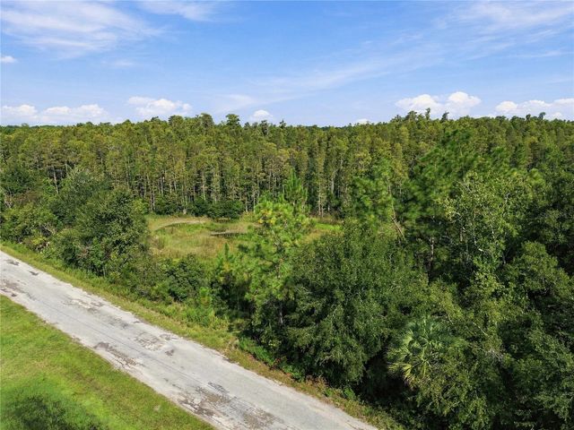 26633 PHEASANT RUN, Wesley Chapel, FL 33544