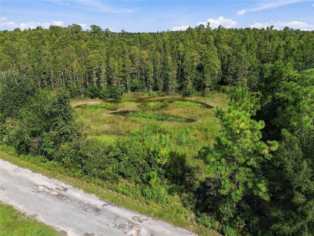 26633 PHEASANT RUN, Wesley Chapel, FL 33544