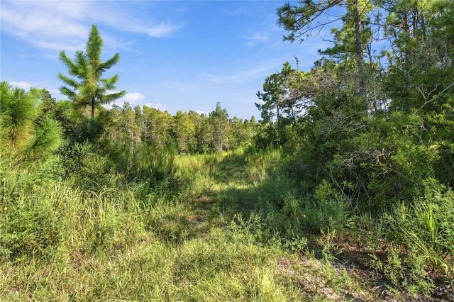 26633 PHEASANT RUN, Wesley Chapel, FL 33544