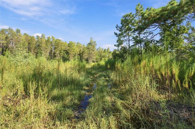 26633 PHEASANT RUN, Wesley Chapel, FL 33544
