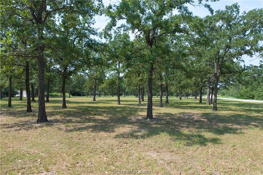 TBD (+/- 2 acres) Overlook Drive, Caldwell, TX 77836 — photo 4