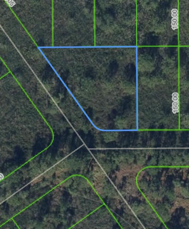 1316 LARK STREET, Lake Placid, FL 33852