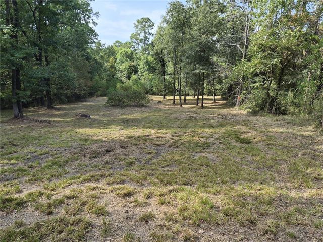 TBD-59 Shadowood Lane, Coldspring, TX 77331