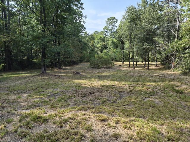 TBD-59 Shadowood Lane, Coldspring, TX 77331