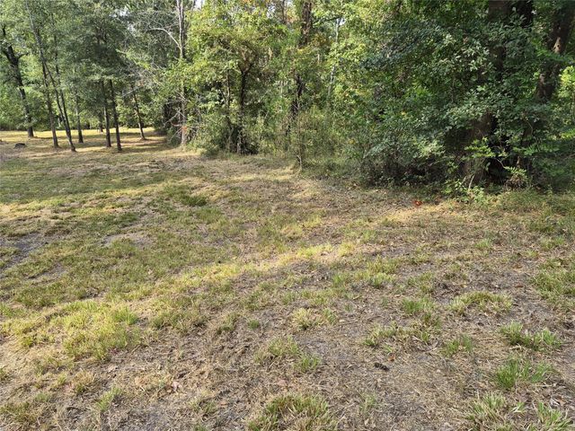 TBD-59 Shadowood Lane, Coldspring, TX 77331