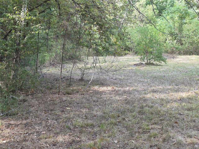 TBD-59 Shadowood Lane, Coldspring, TX 77331