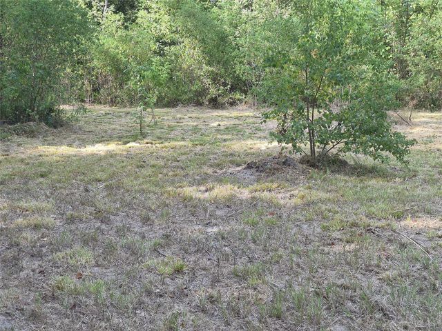 TBD-59 Shadowood Lane, Coldspring, TX 77331
