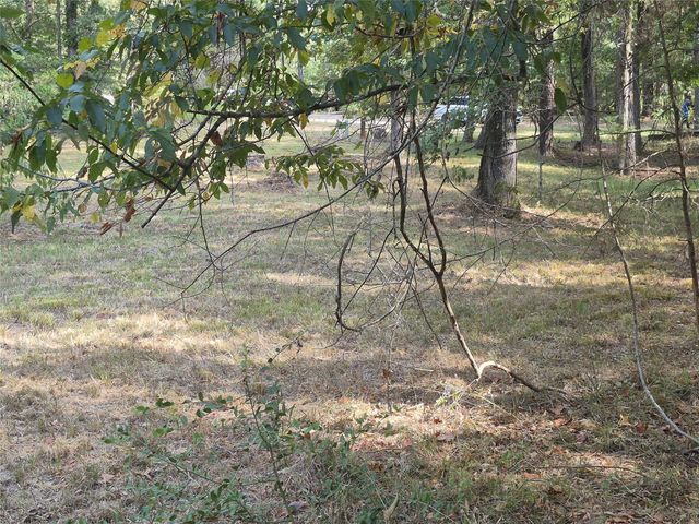 TBD-59 Shadowood Lane, Coldspring, TX 77331