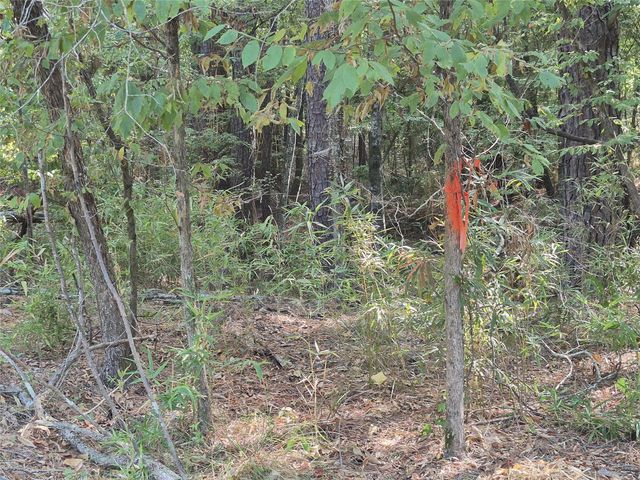 TBD-59 Shadowood Lane, Coldspring, TX 77331