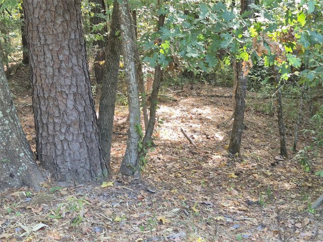 TBD-59 Shadowood Lane, Coldspring, TX 77331