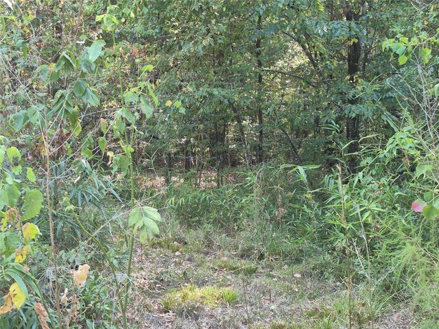 TBD-59 Shadowood Lane, Coldspring, TX 77331