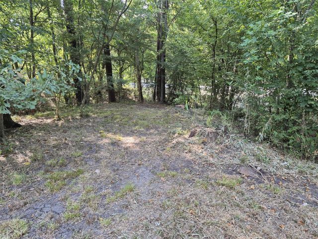 TBD-59 Shadowood Lane, Coldspring, TX 77331