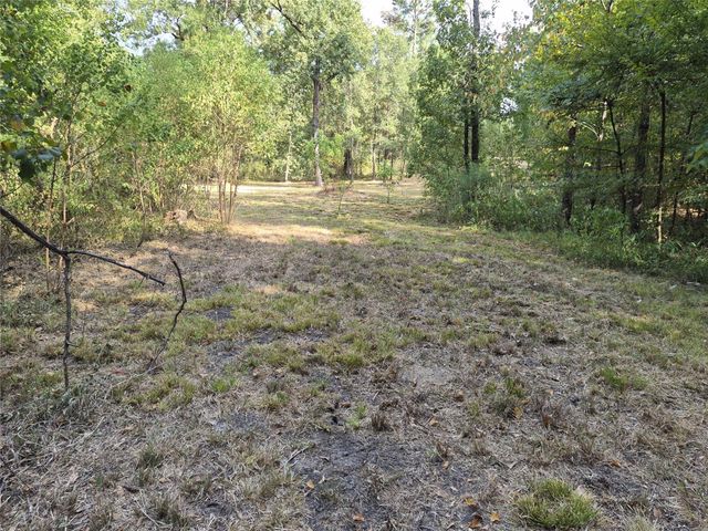 TBD-59 Shadowood Lane, Coldspring, TX 77331