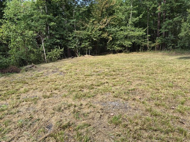 TBD-59 Shadowood Lane, Coldspring, TX 77331
