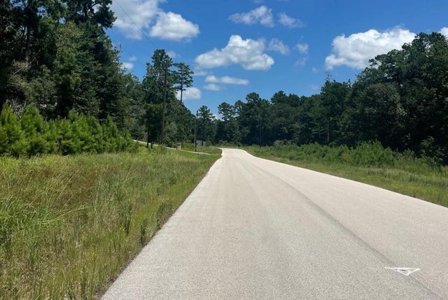 181 Sky Oak Lane Lane, Huntsville, TX 77340