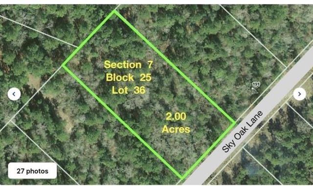 181 Sky Oak Lane Lane, Huntsville, TX 77340