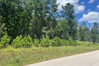 181 Sky Oak Lane Lane, Huntsville, TX 77340