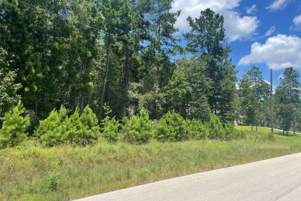 181 Sky Oak Lane Lane, Huntsville, TX 77340