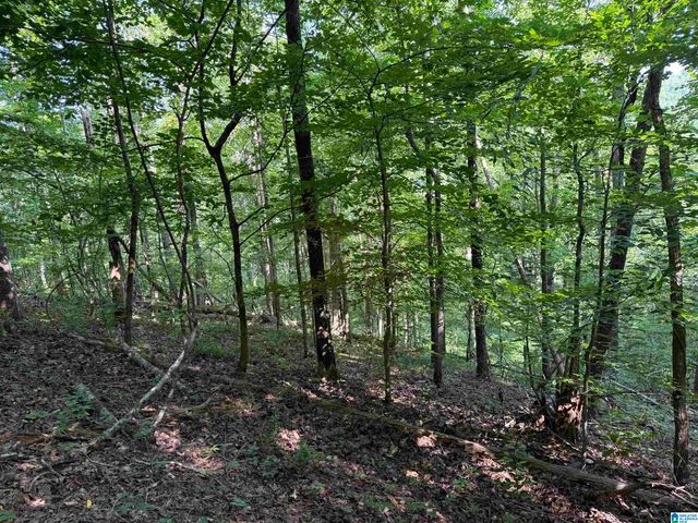 1423 7TH PLACE, Pleasant Grove, AL 35127