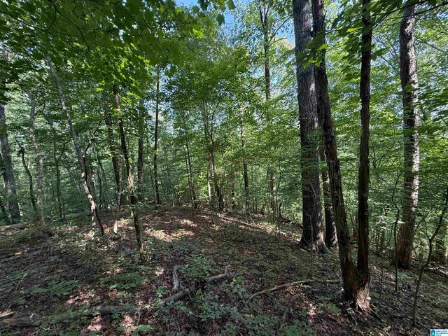 1423 7TH PLACE, Pleasant Grove, AL 35127