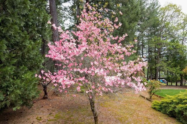 185 October Lane, Merlin, OR 97532