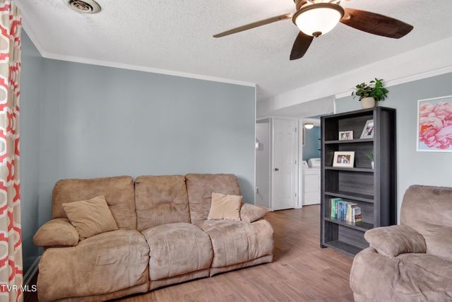 117 Windsong Drive, Gray, TN 37615