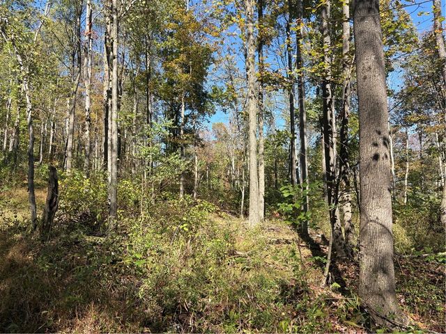 103 Wash Run Rd, Saltlick Twp, PA 15446