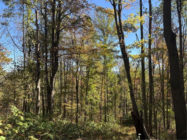 103 Wash Run Rd, Saltlick Twp, PA 15446